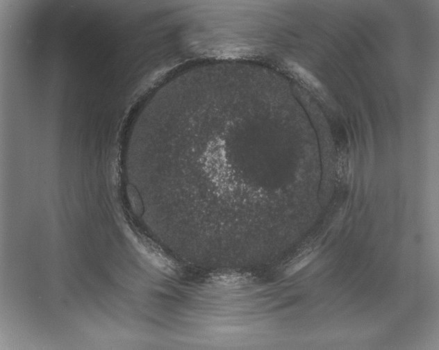 X0000071780540200607071432