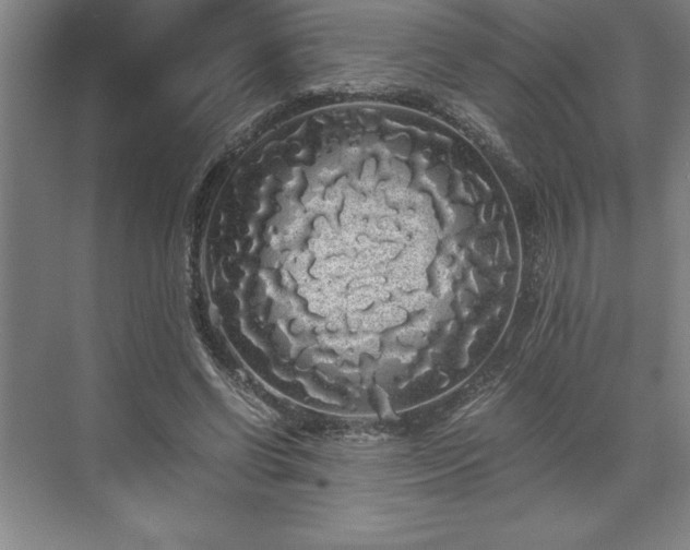 X0000071780542200607071432