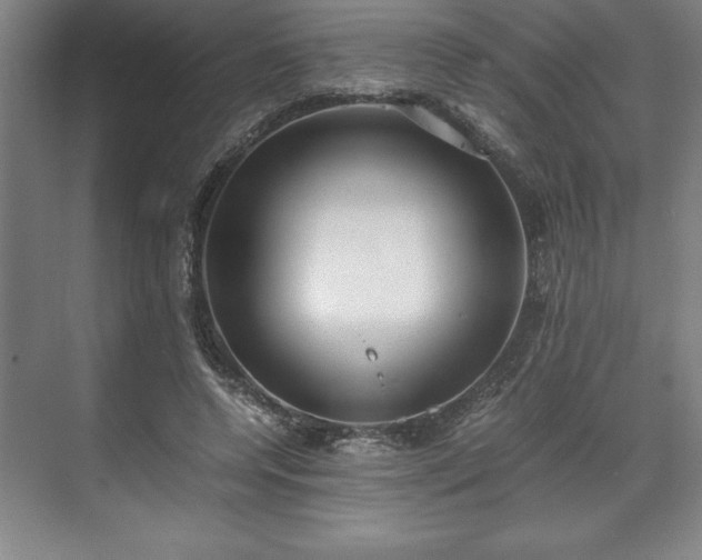 X0000071780544200607071432