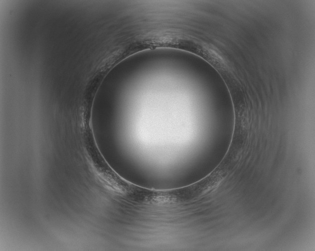 X0000071780546200607071432