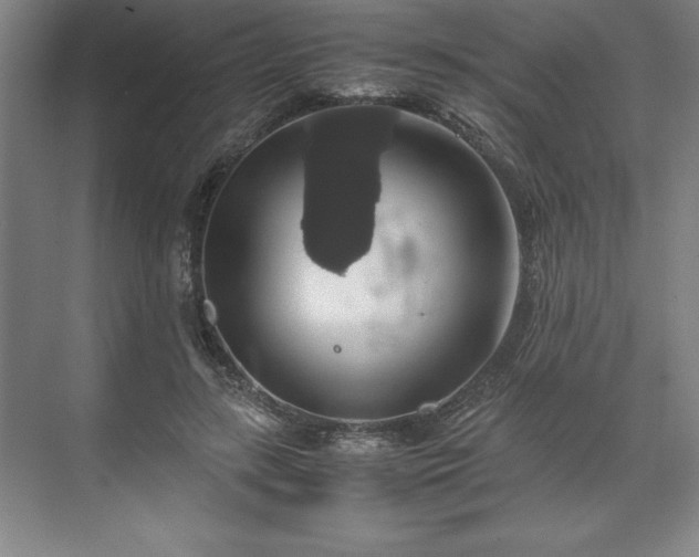 X0000071780547200607071432