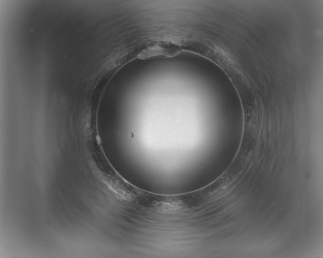 X0000071780548200607071432