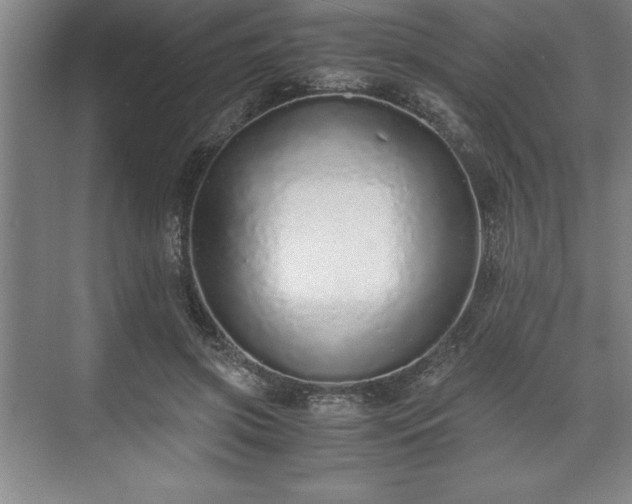 X0000071780549200607071432