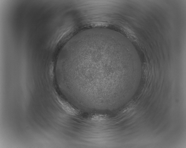 X0000071780550200607071432