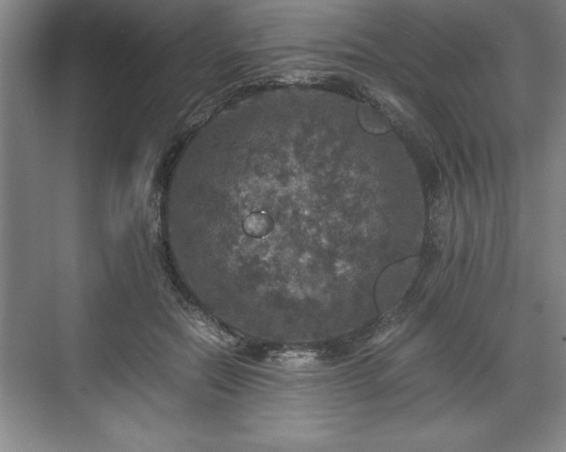 X0000071780554200607071432