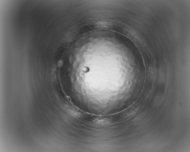 X0000071780557200607071432