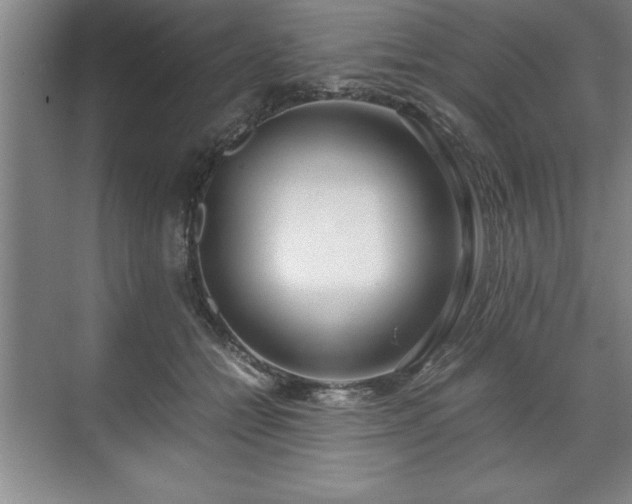 X0000071780558200607071432