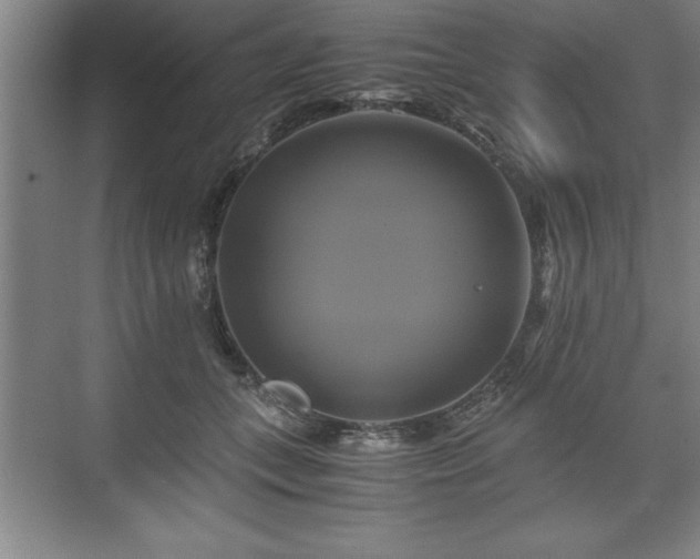 X0000071780559200607071432