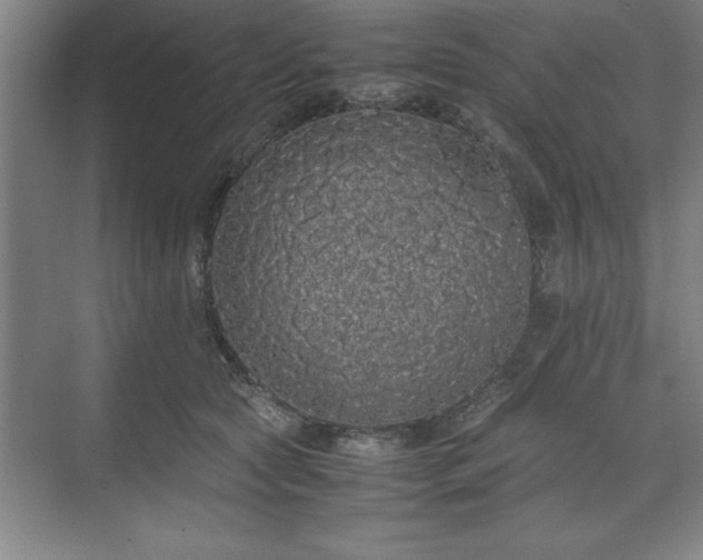 X0000071780561200607071433