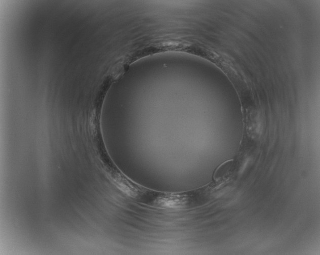 X0000071780563200607071433