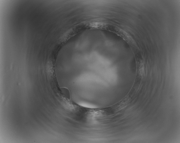 X0000071780569200607071433