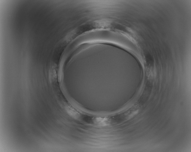 X0000071780570200607071433