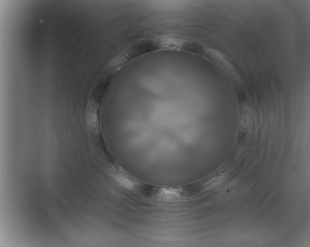 X0000071780573200607071433