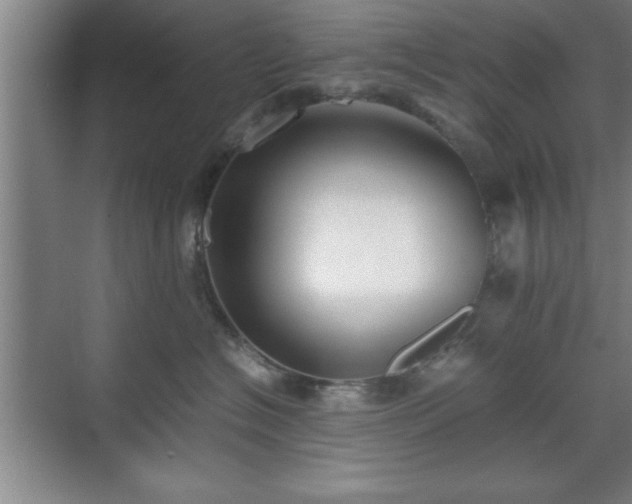 X0000071780574200607071433