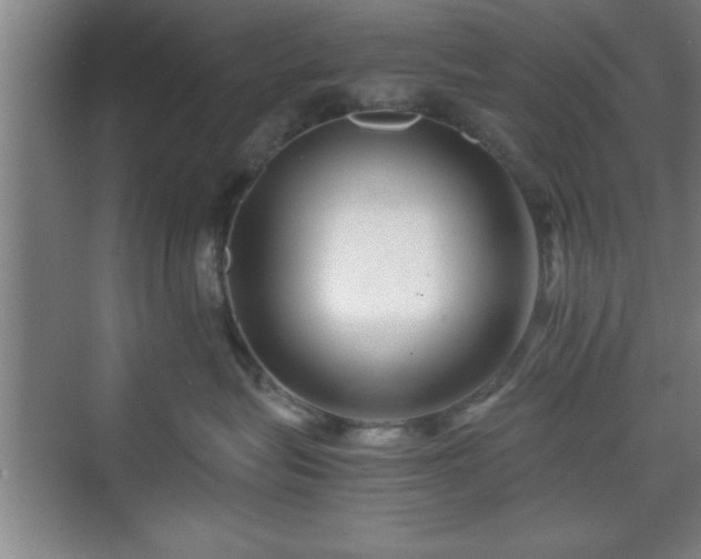 X0000071780575200607071433