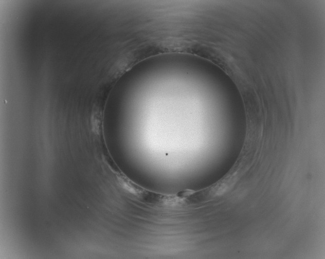 X0000071780576200607071433