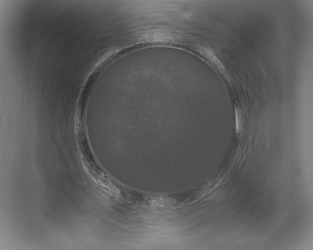 X0000071780579200607071432