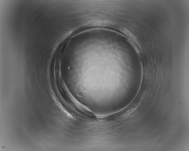 X0000071780581200607071432