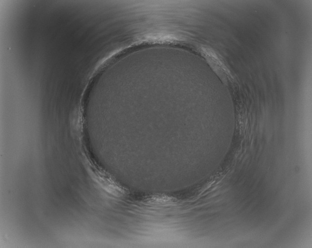 X0000071780583200607071432