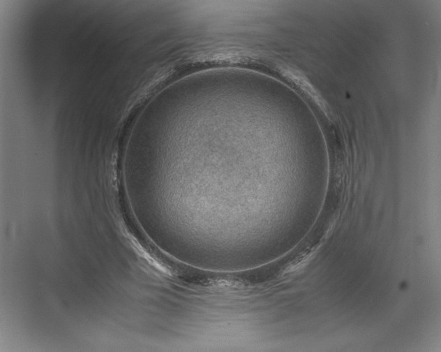 X0000071780585200607071432