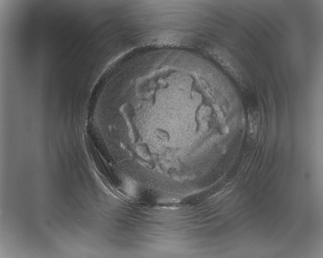 X0000071780588200607071432