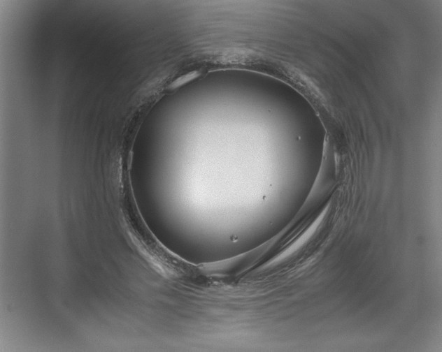 X0000071780589200607071432