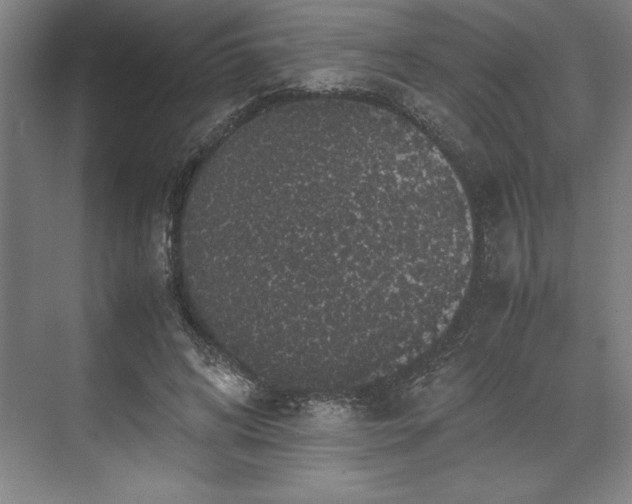 X0000071780592200607071432