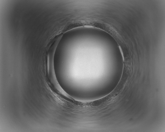 X0000071780593200607071432