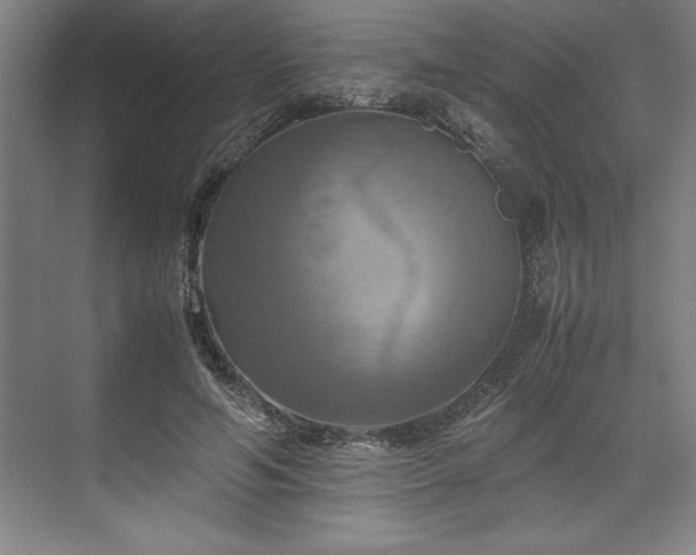 X0000071780594200607071432