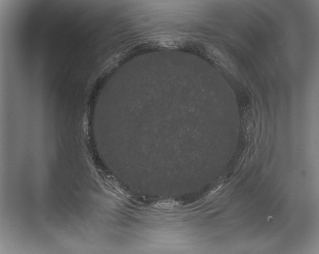 X0000071780595200607071432