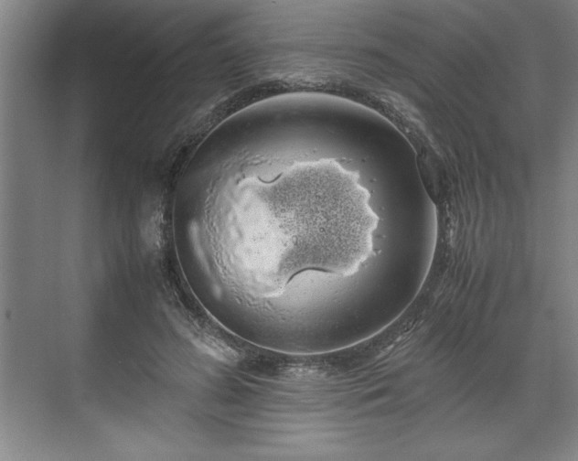 X0000071780596200607071432