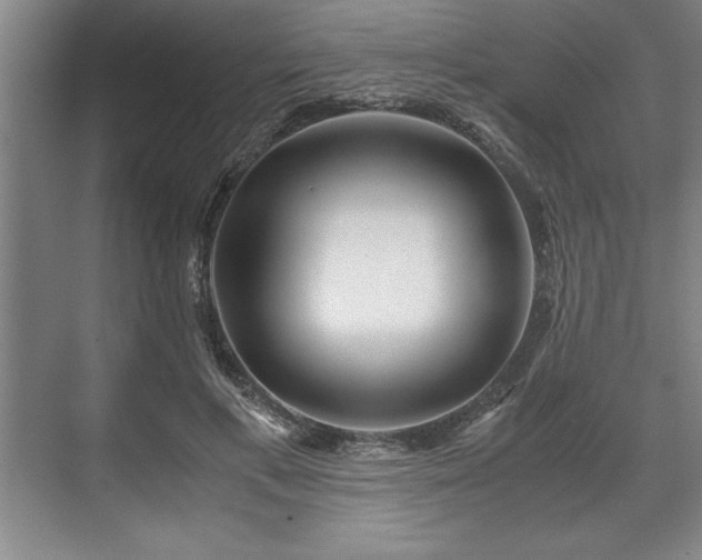 X0000071780597200607071432