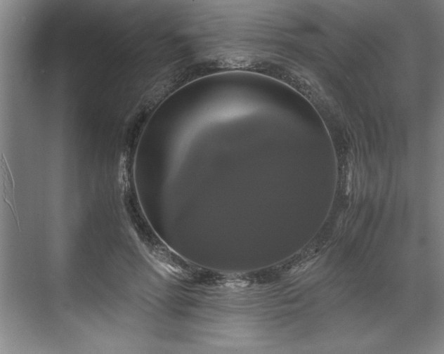 X0000071780598200607071432