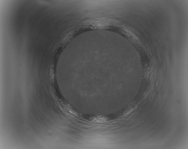 X0000071780599200607071432