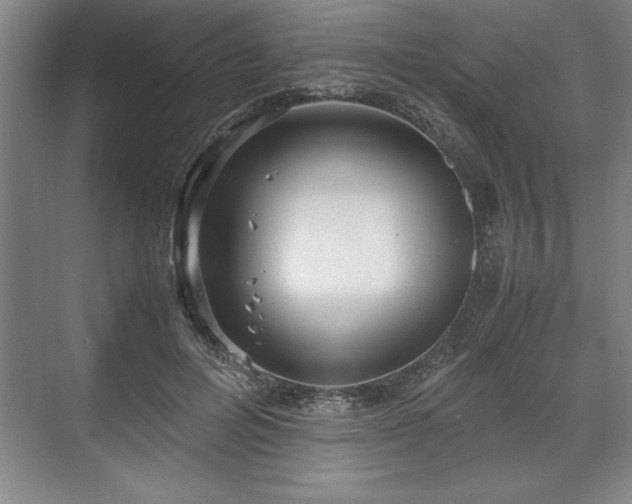 X0000071780600200607071432