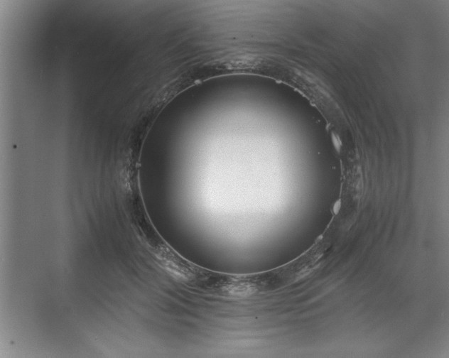 X0000071780604200607071432