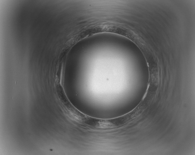 X0000071780605200607071431