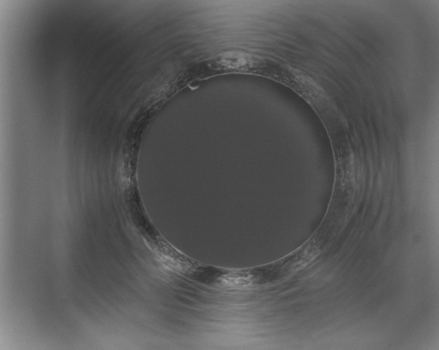 X0000071780606200607071431