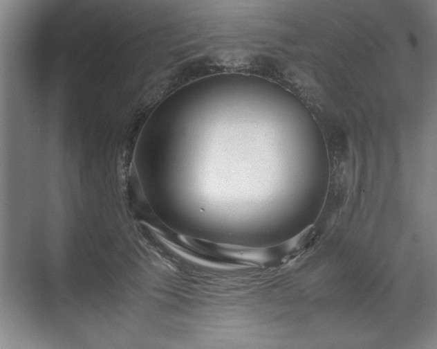 X0000071780609200607071431