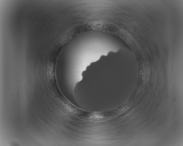 X0000071780610200607071431