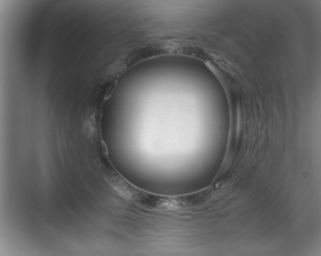 X0000071780611200607071431