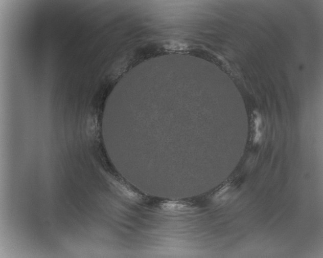 X0000071780614200607071431