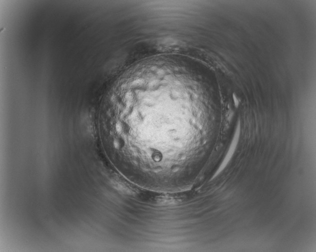 X0000071780616200607071431