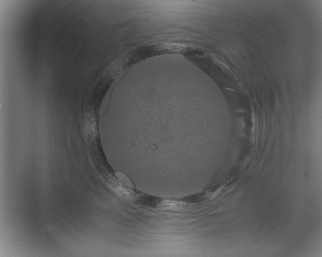 X0000071780617200607071431