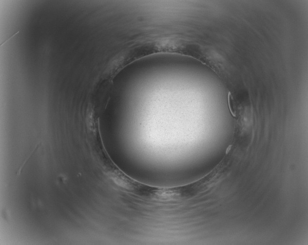 X0000071780619200607071431