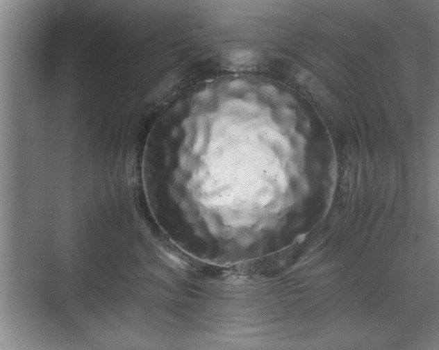 X0000071780620200607071431