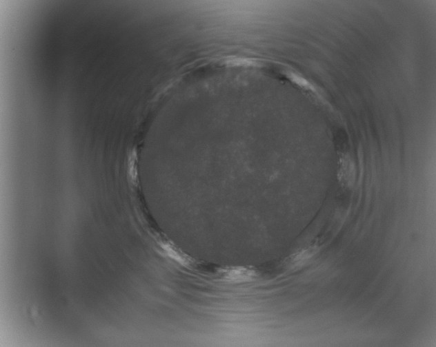 X0000071780621200607071431