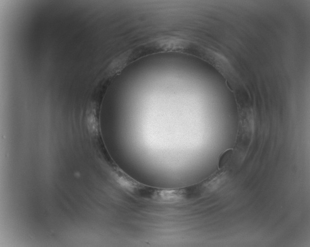 X0000071780622200607071431