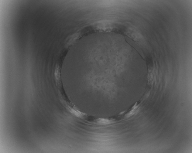 X0000071780623200607071431