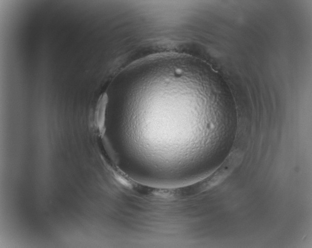 X0000071780624200607071431